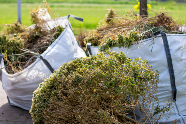 Best Professional Junk Removal  in Maplewood, WA